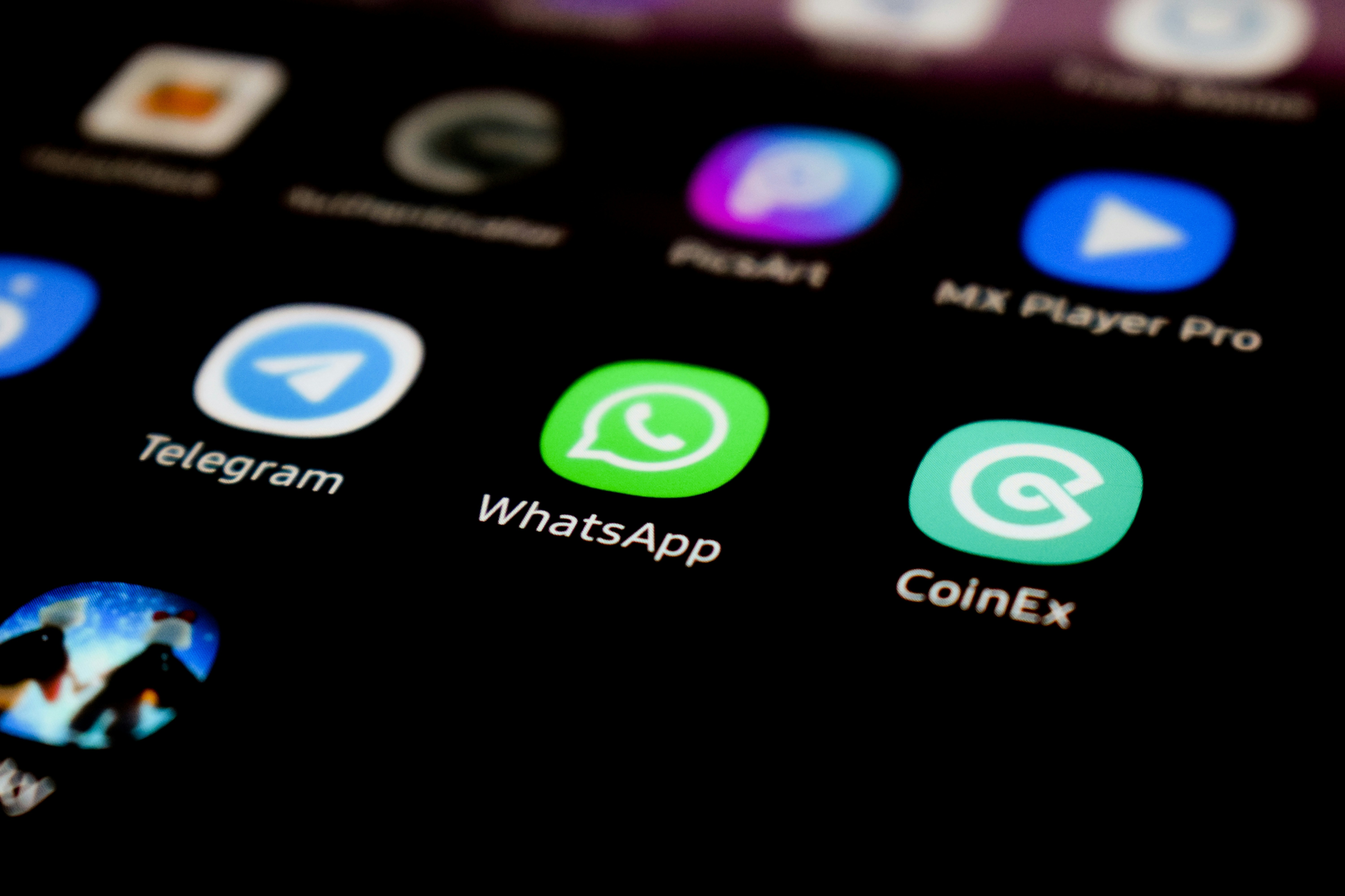 WhatsApp Marketing & Communications